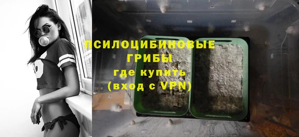 прущий лед Белокуриха