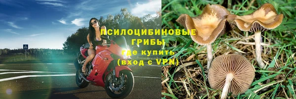 каннабис Беломорск