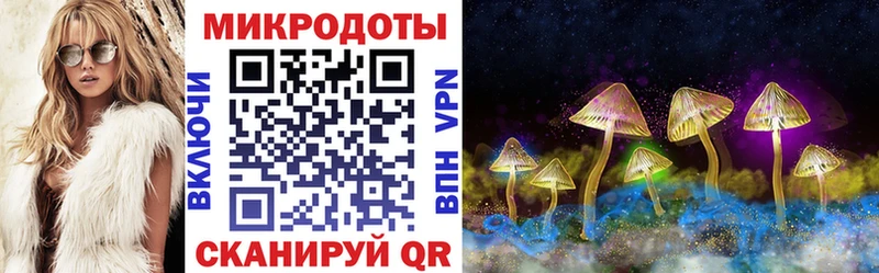 Галлюциногенные грибы мухоморы  закладка  Вяземский 